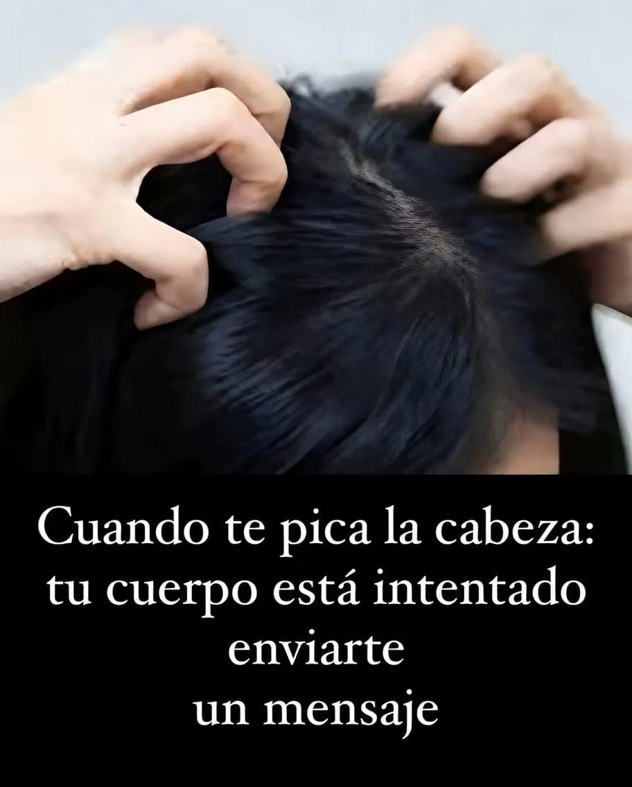 Irritación en el cuero cabelludo: identifique las causas del malestar y cómo tratarlas