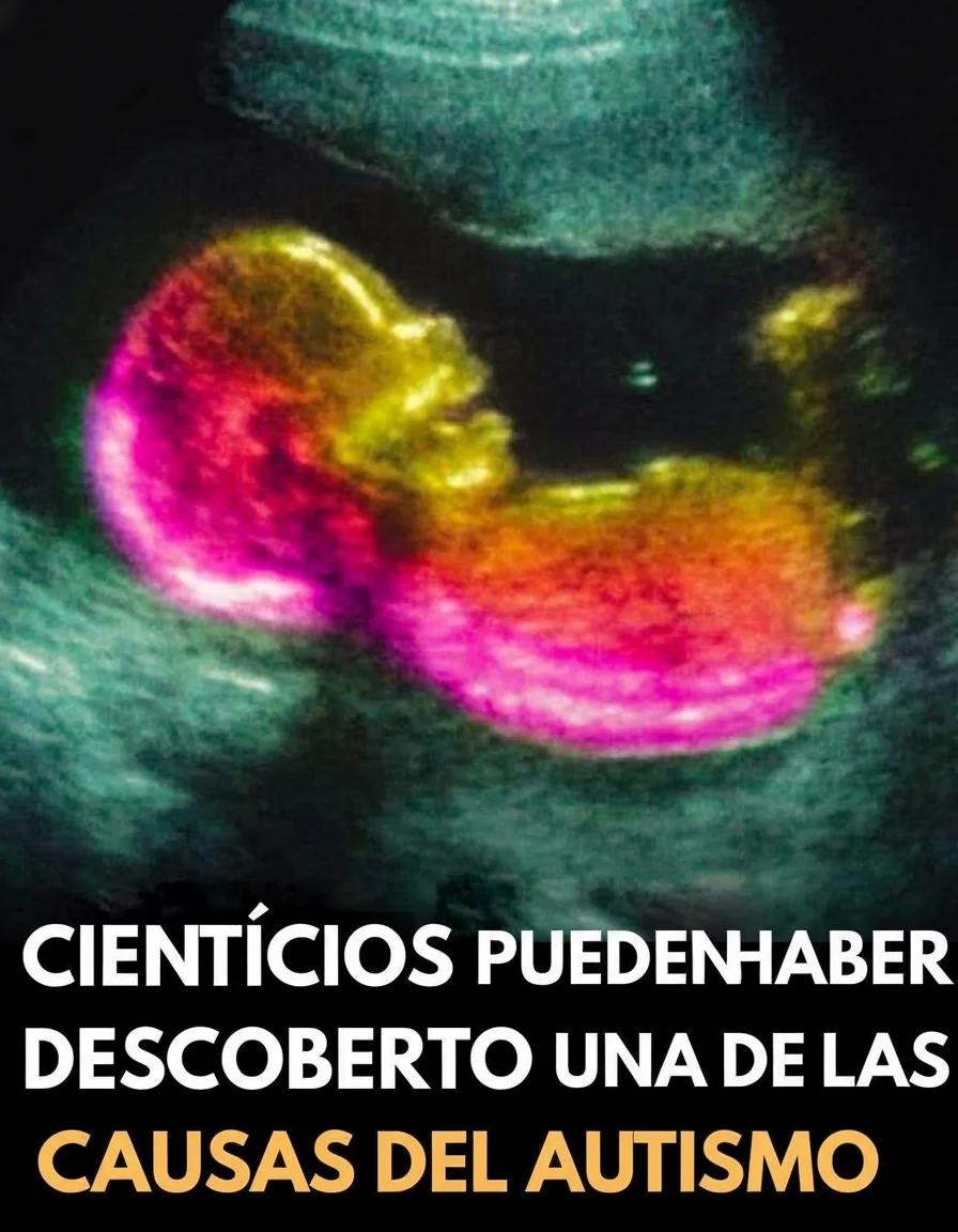 ¿Es cierto que el autismo encuentra parte de su origen en el útero materno?