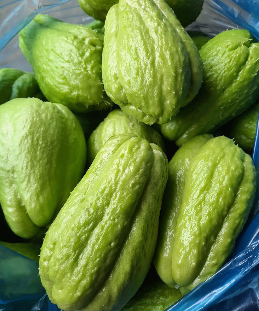 Médicos revelan qué causa comer chayote…