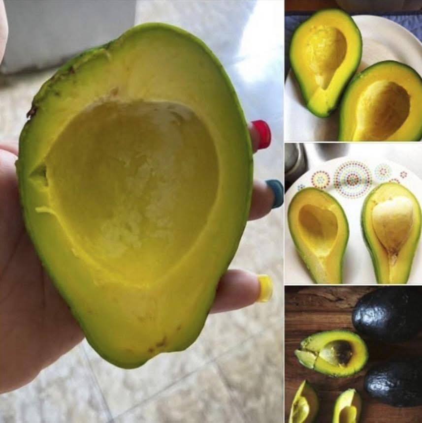 Médicos revelan qué causa comer aguacate...