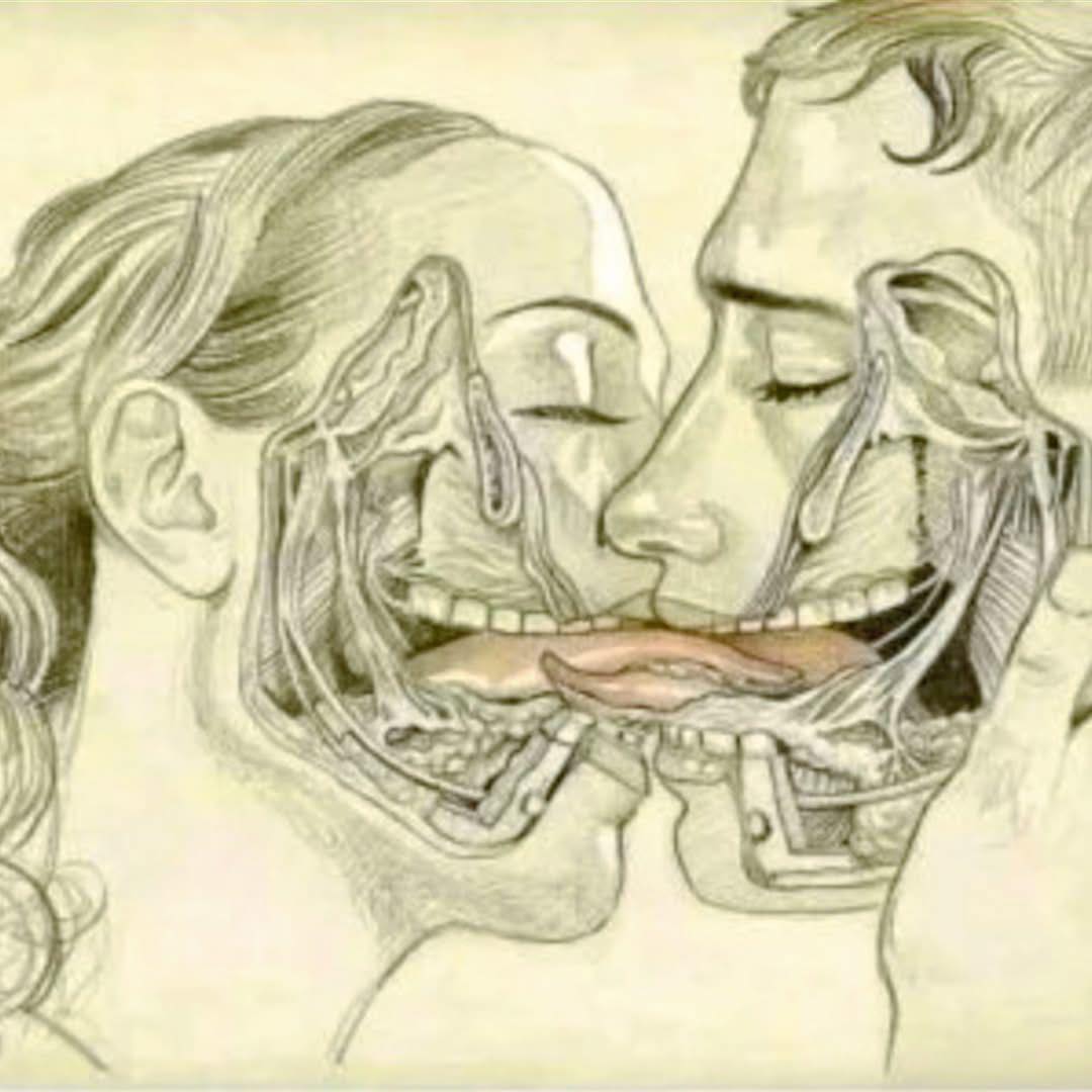 ¿Qué ocurre en el cuerpo (y en el alma) cuando nos besamos?