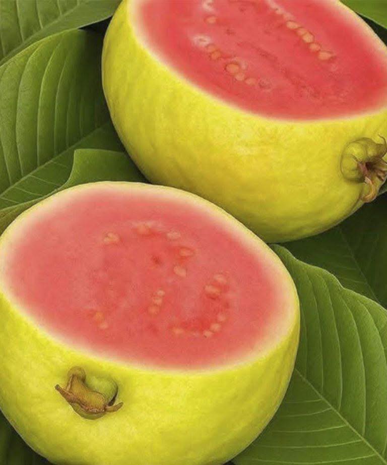 Médicos revelan lo que el consumo de guayaba causa…