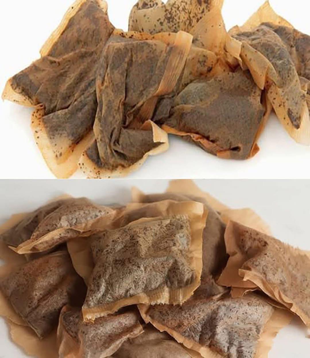 7 formas sorprendentes de reutilizar bolsitas de té que nunca imaginaste