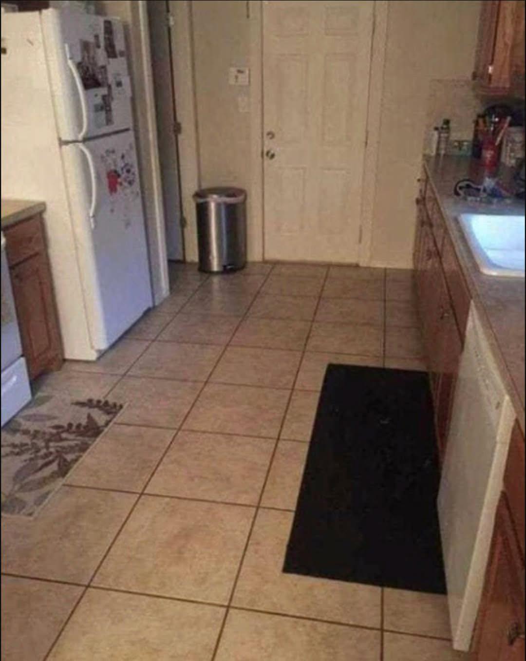 Este perro se esconde a plena vista en la cocina y pocos logran detectarlo