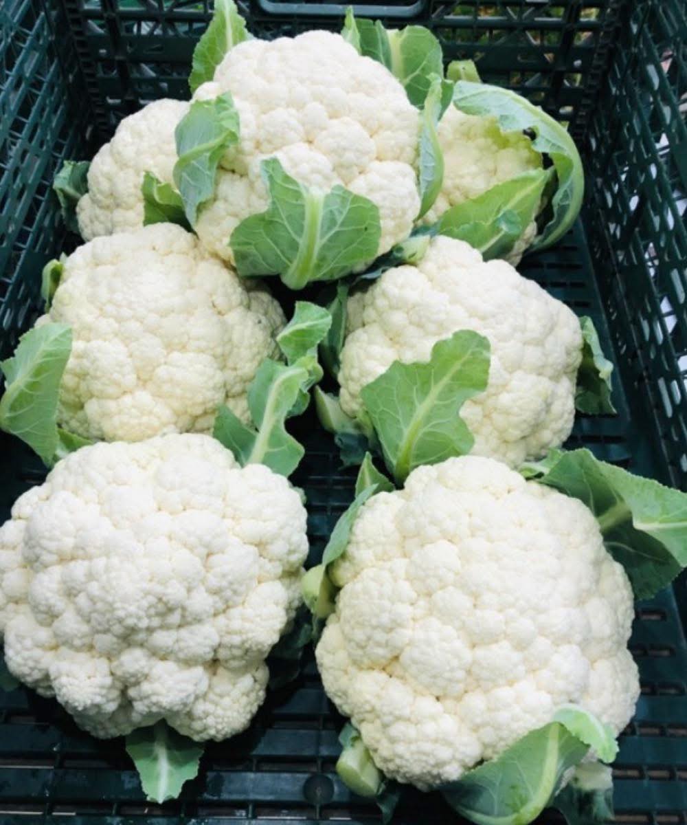 Médicos revelan lo que la coliflor causa...