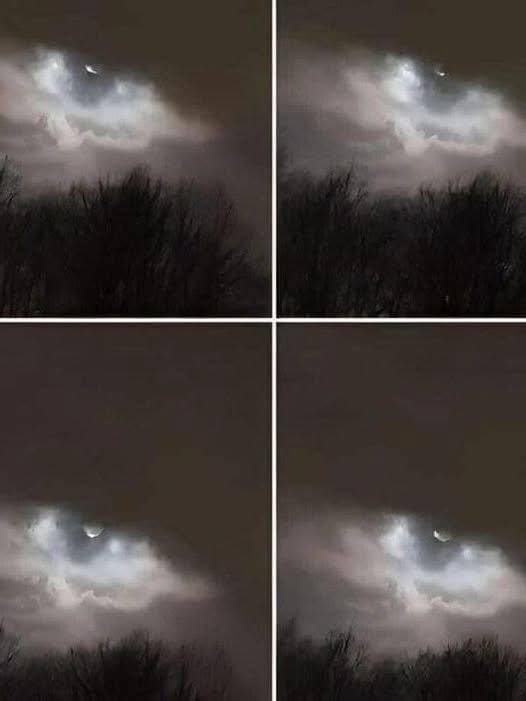 Mi hermano tomó esta foto a 21 km de casa… y aún hoy no sabemos explicarla