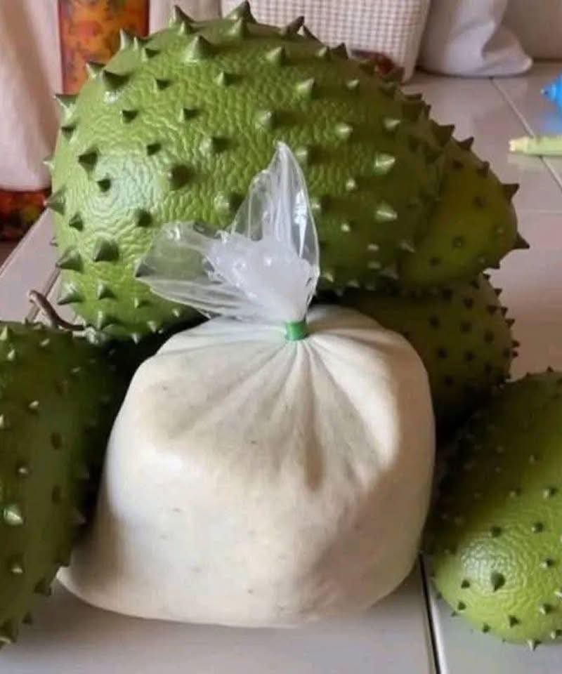 ¿Conoces el té de hoja de guanábana? Descubre por qué está captando tanta atención