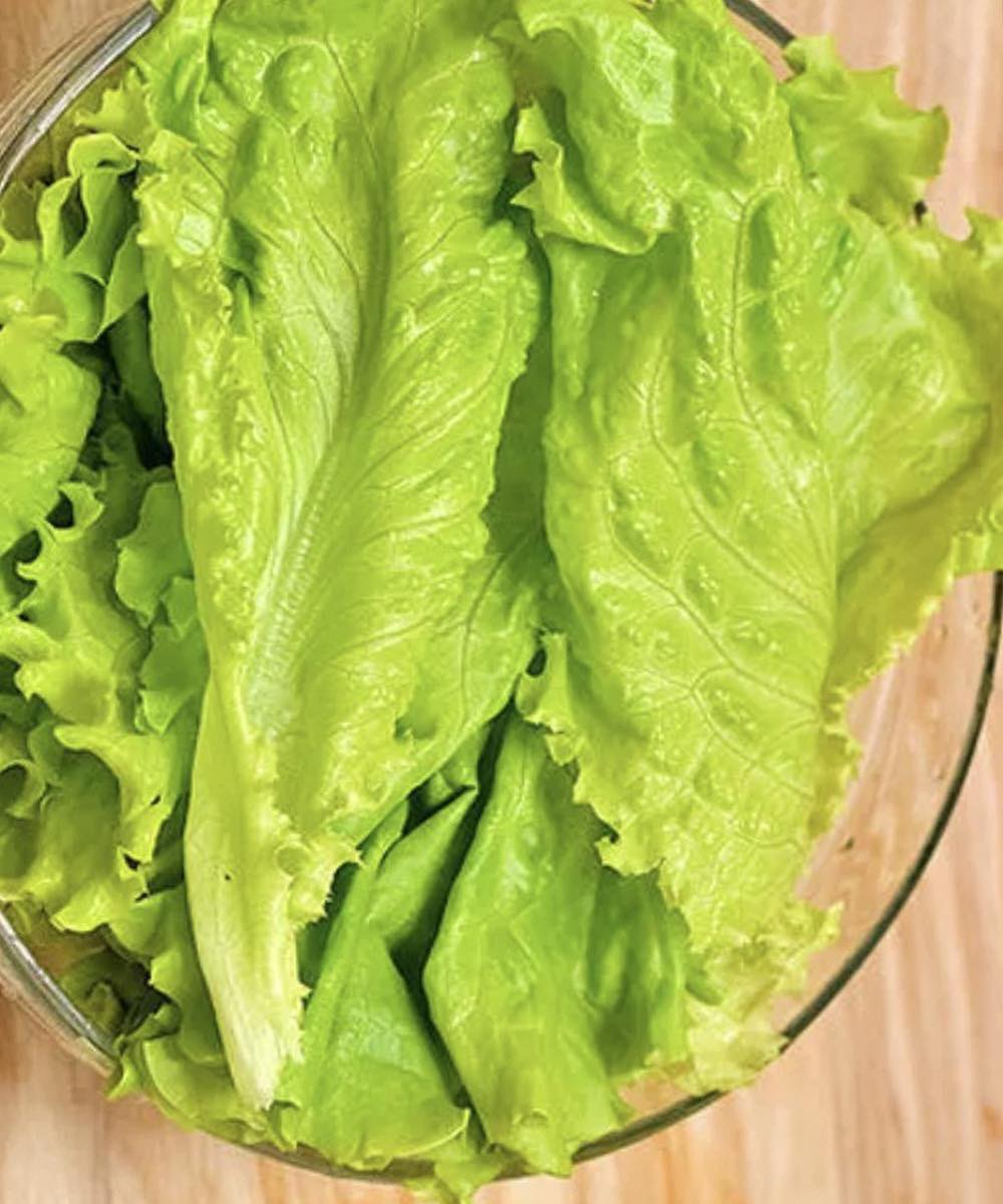 Médicos revelan: Comer lechuga en invierno, ¿qué provoca en tu salud?